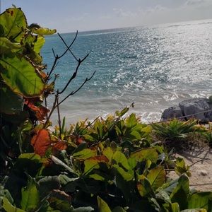 Meet your Posher, Jenae